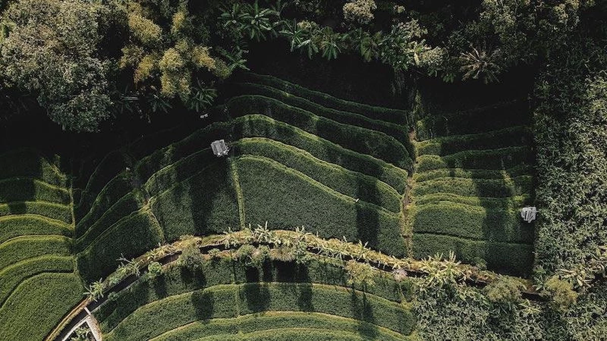 Sola Bestekset Bali - Modern - 9 Persoons - 90 Delig - Zilverwit Edelstaal 18/10 - RVS - Zilver - Afbeelding 4